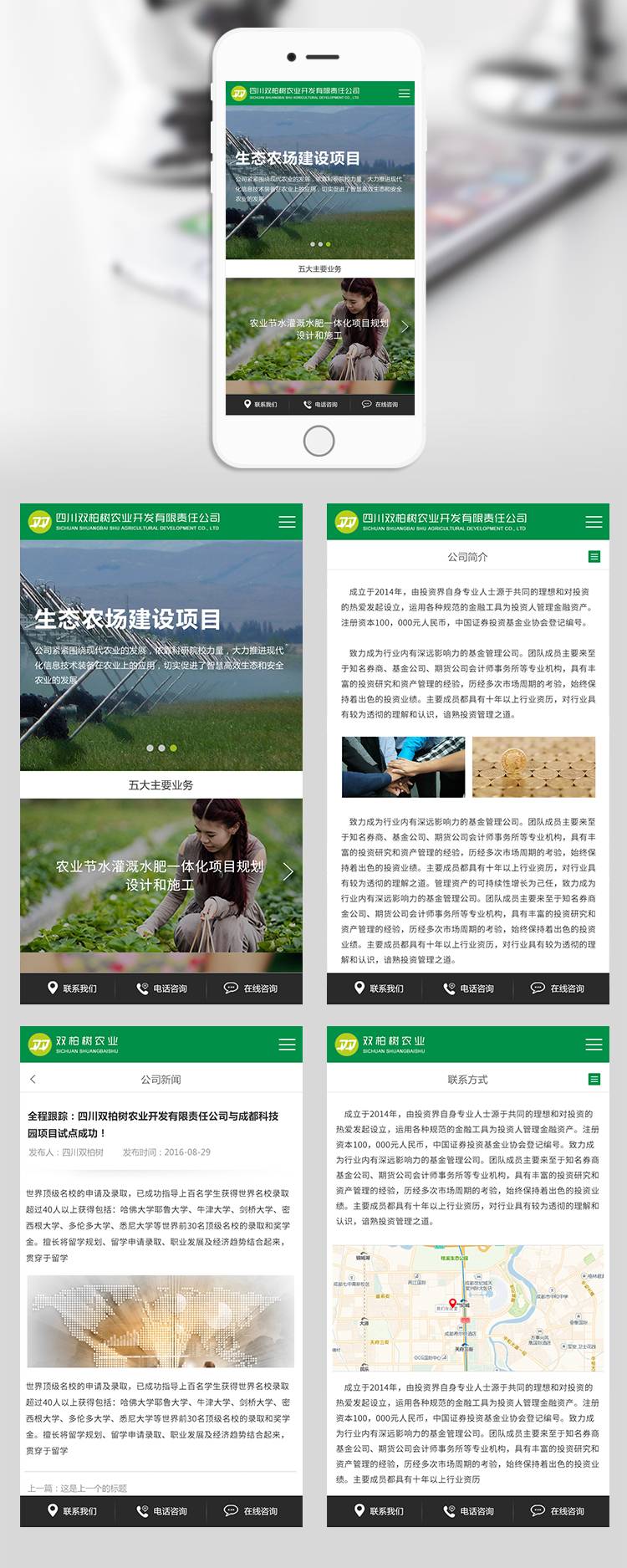 雙柏樹網站設計